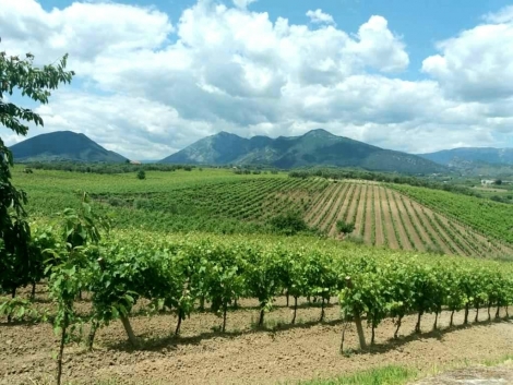 Castelvenere: Terra di Vini, Ma Anche di Cibo e Paesaggi